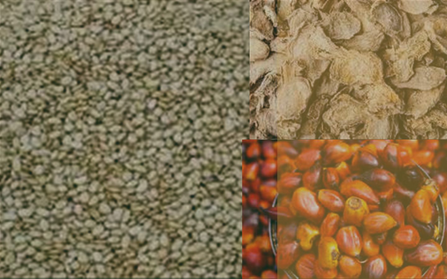 Nigerian agro commodities prepared for export supply