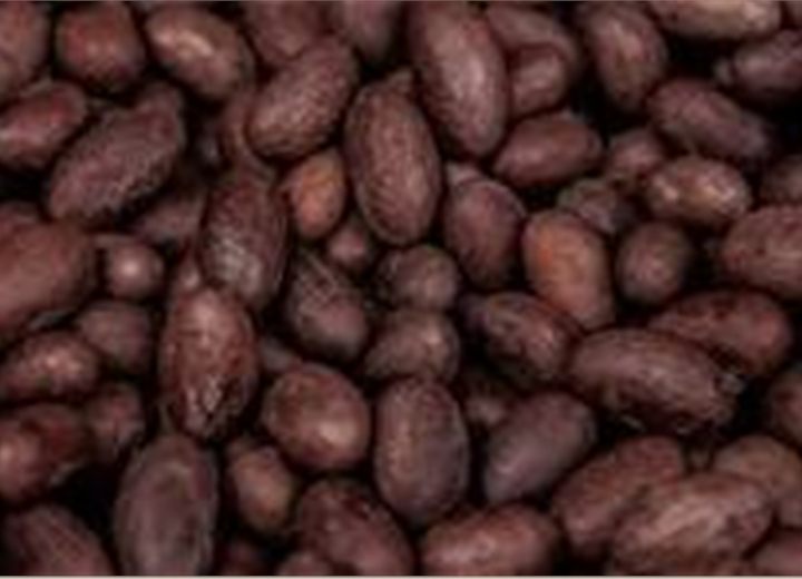 Cocoa beans for export commodity buyers
