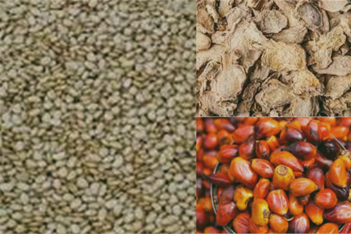 Agro commodities reviewed for quality and export preparation