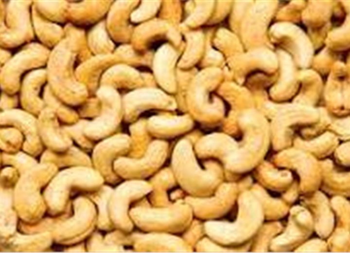 Raw cashew nuts in shell for export